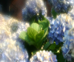 Blurry Blues